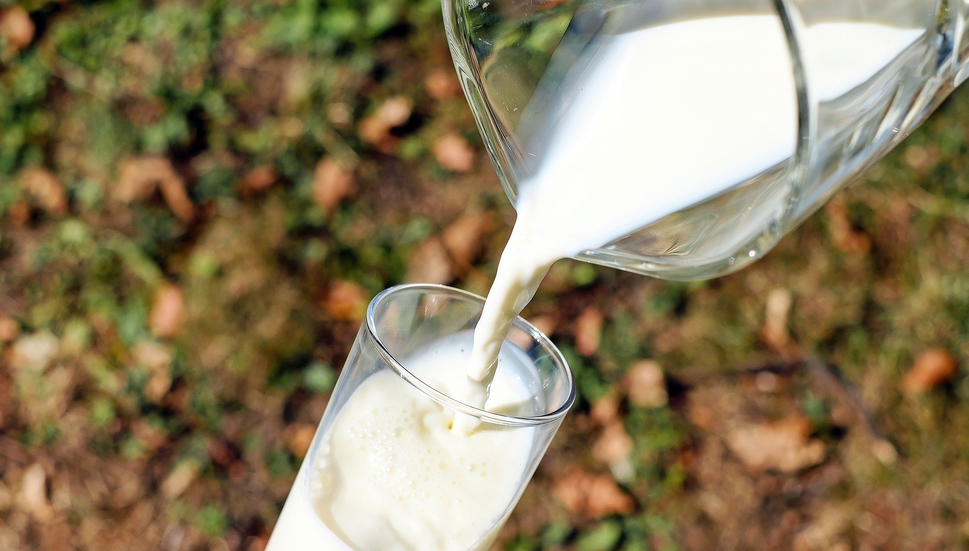 Milch
