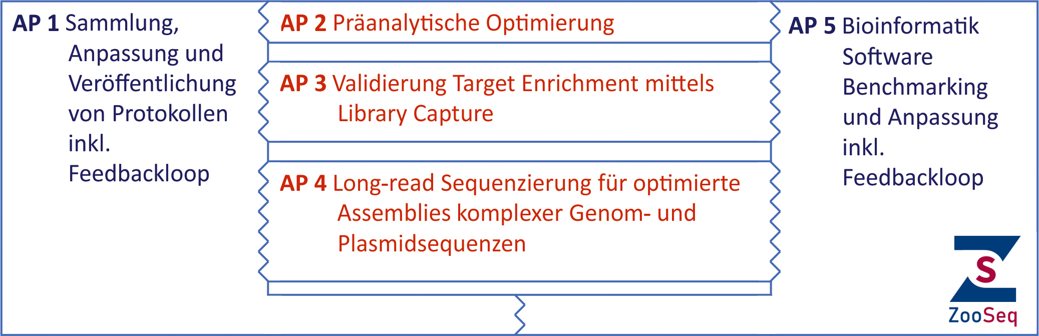 Arbeitspakete ZooSeq