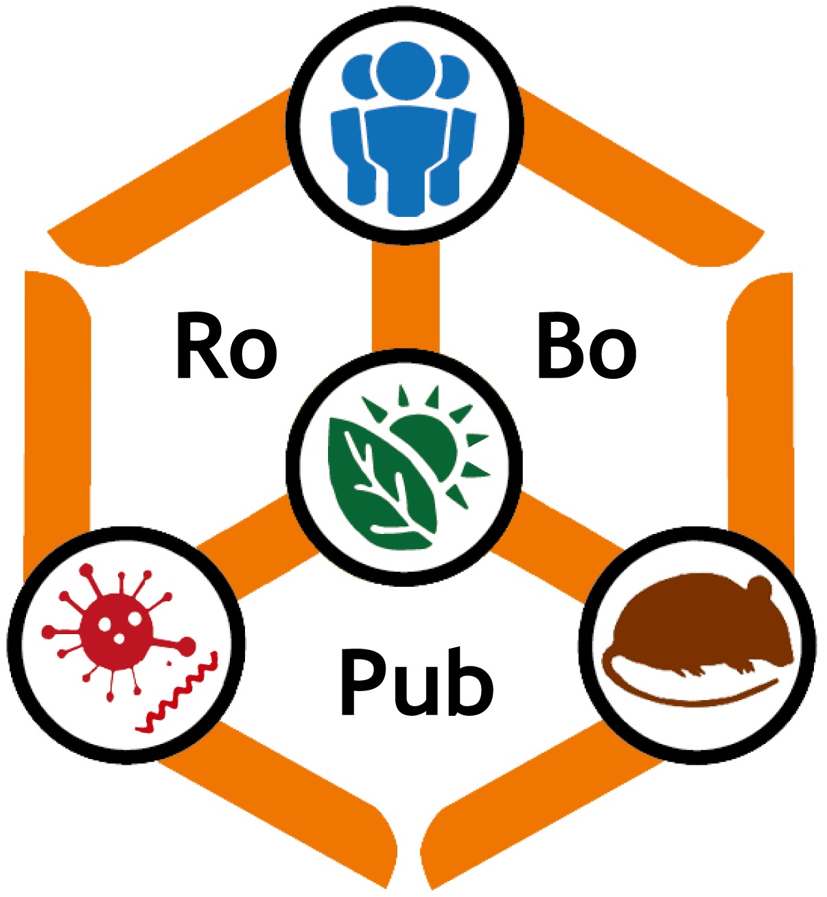 Logo RoBoPub-Verbund