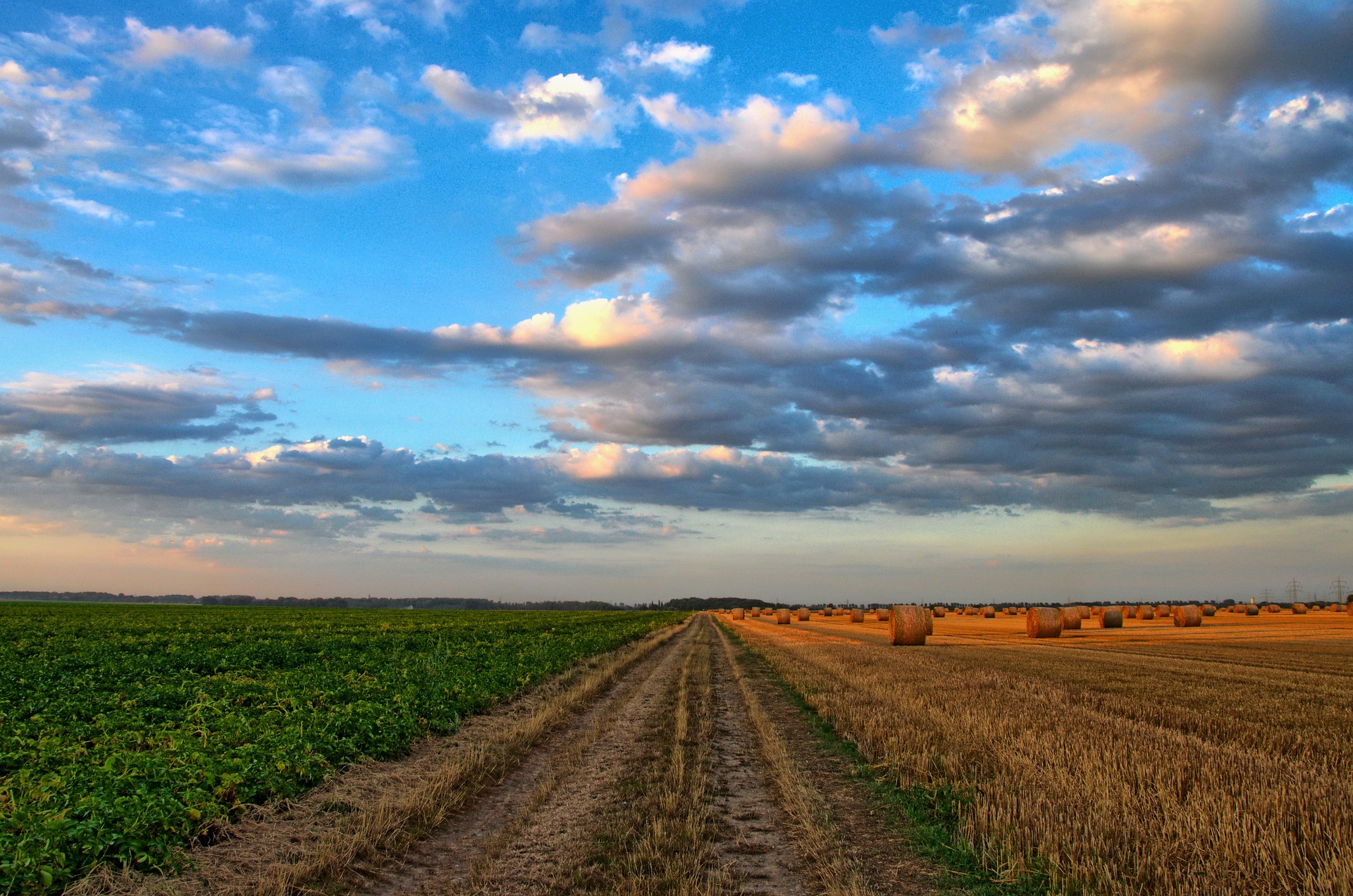 Landwirtschaftliche Nutzfläche