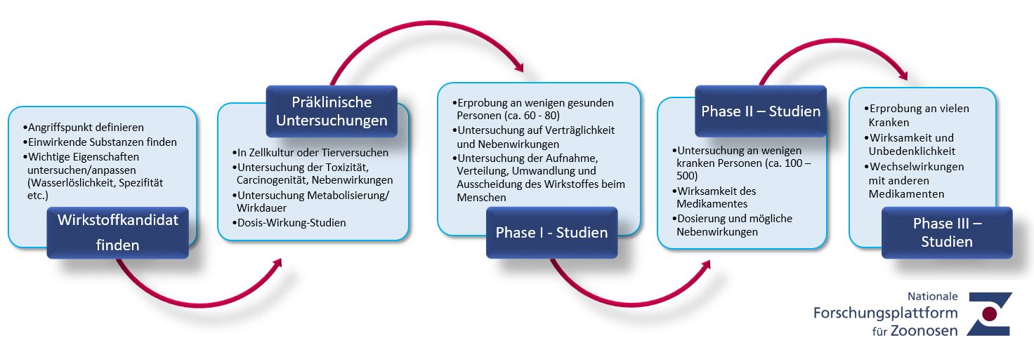 Prozess Medikamentenentwicklung