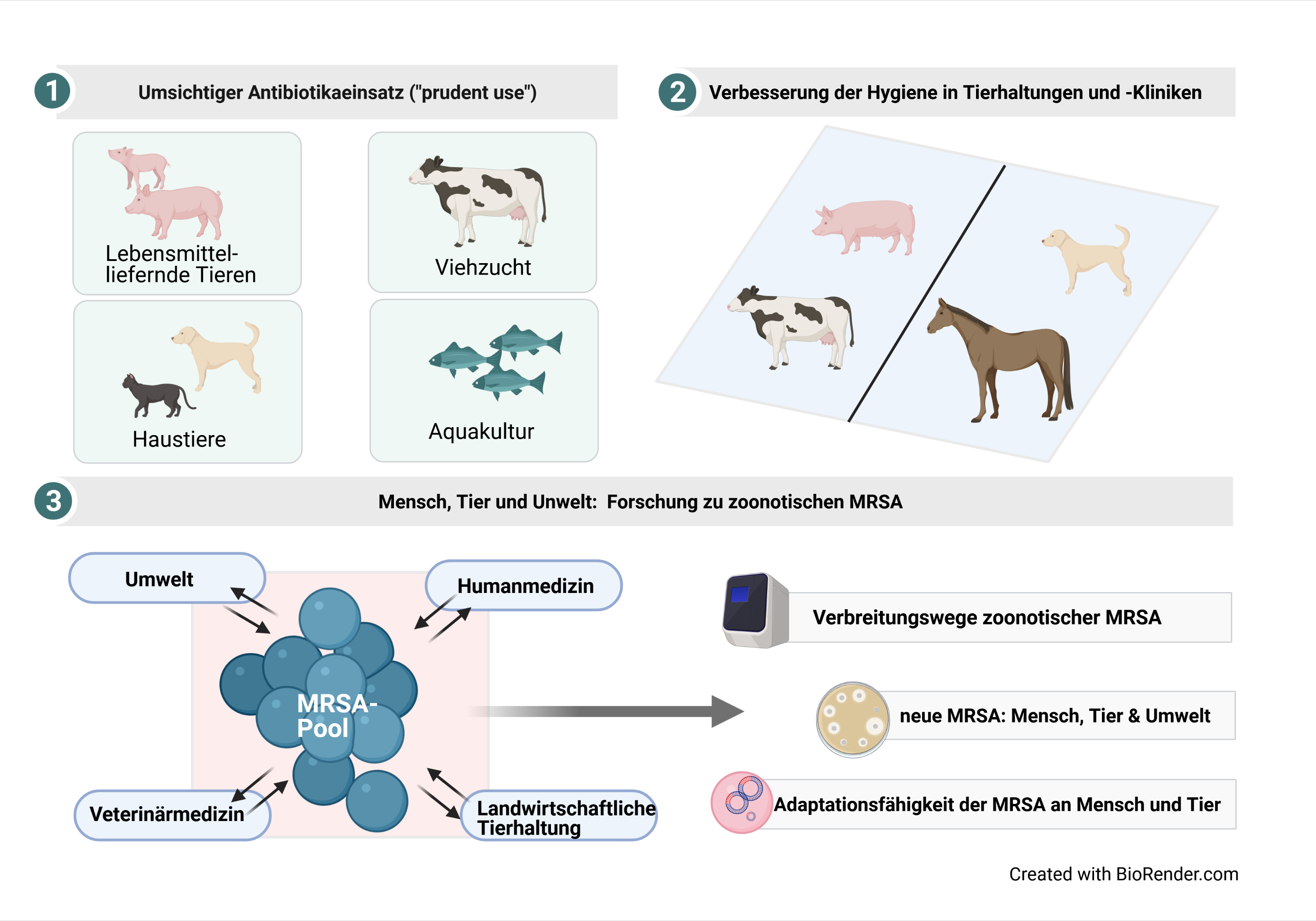 MRSA Bekämpfung