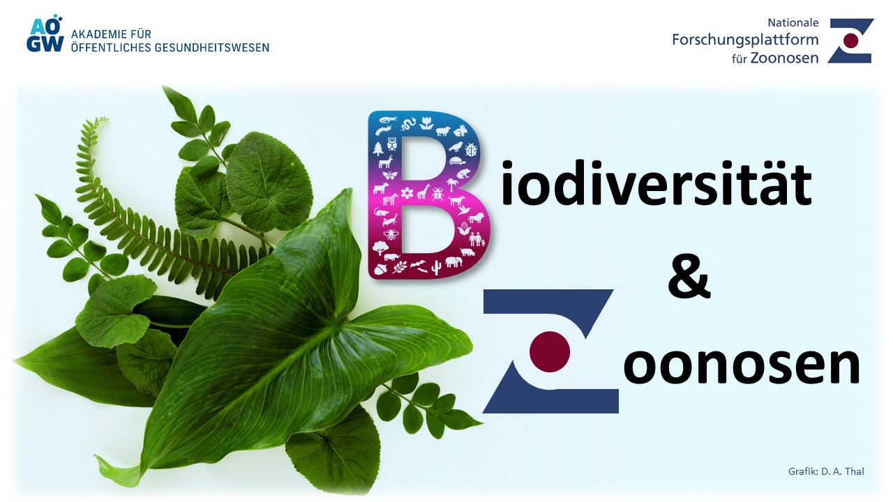 Workshopreihe Biodiversität und Zoonosen