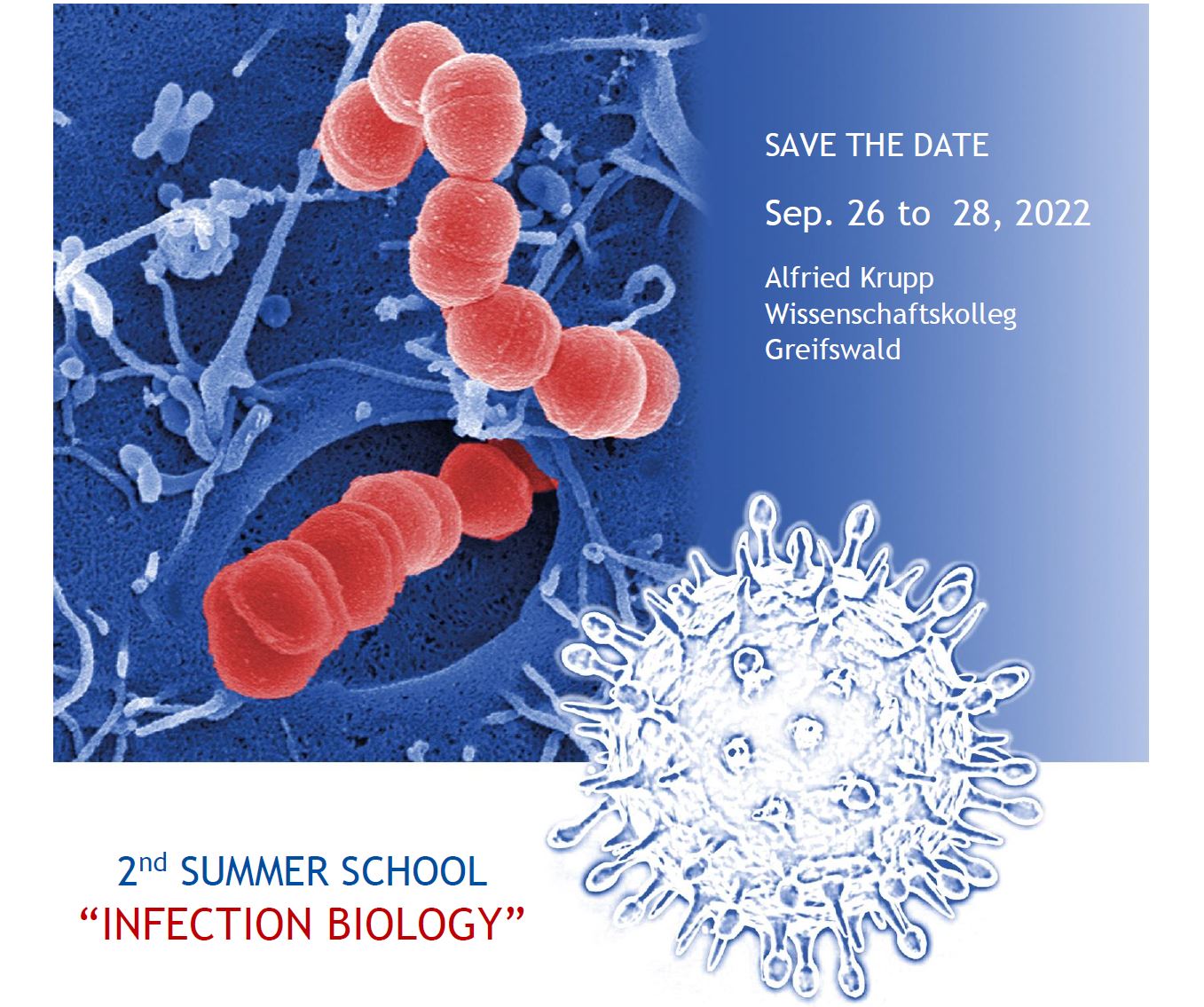 2nd Summer School Infection Biology - Save the date