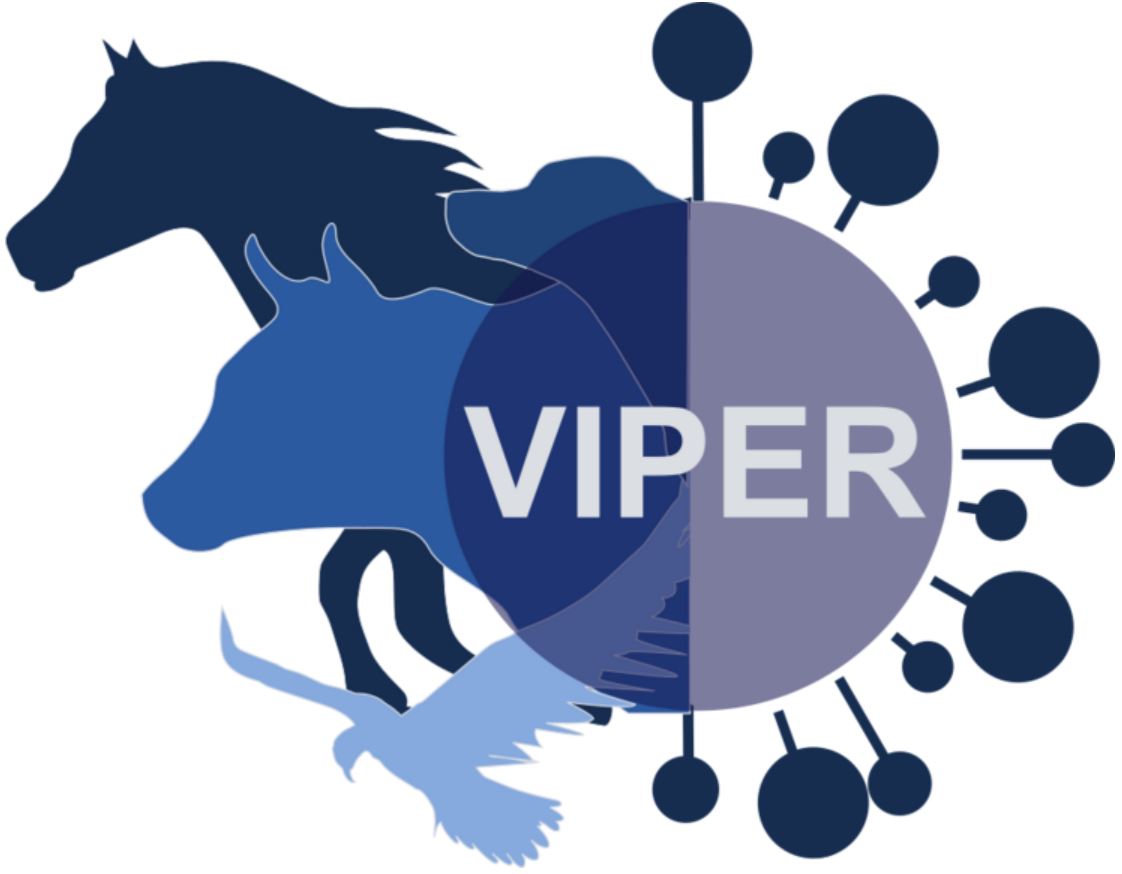 Logo_VIPER